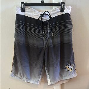 Black and Gray Men's Swim Shorts